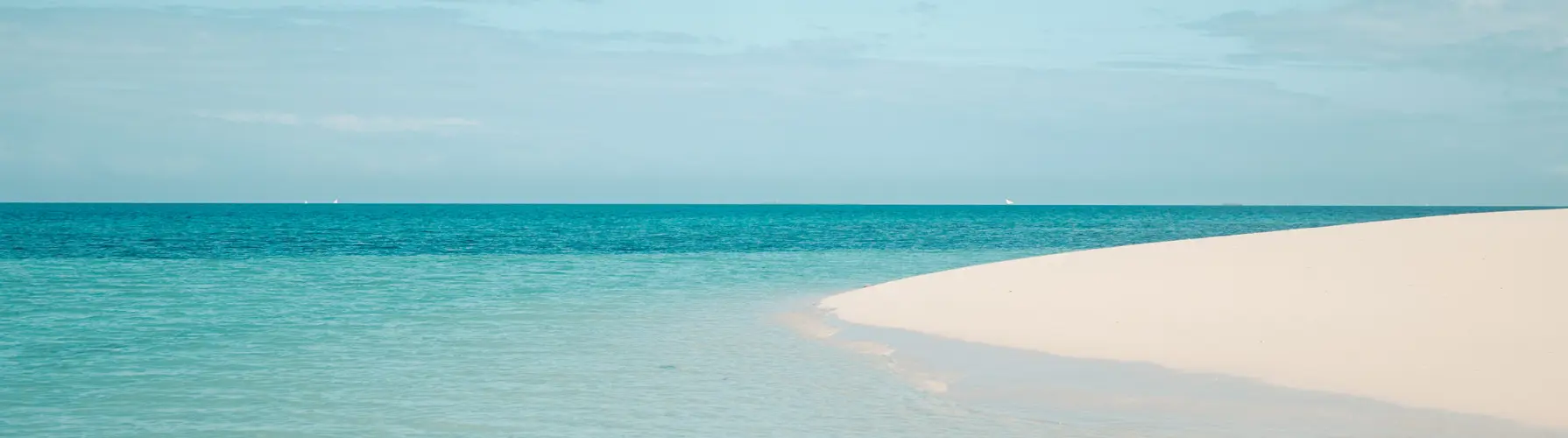 banner 2